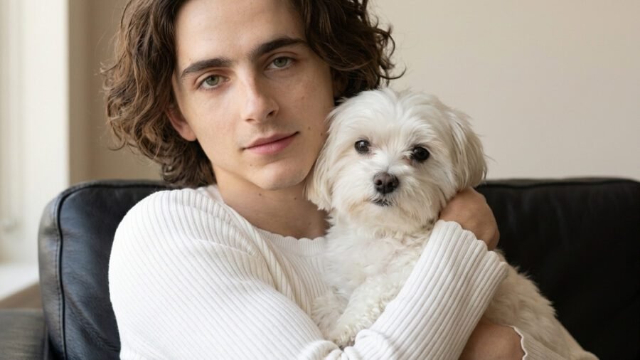 Cozy Portrait with Fluffy White Dog